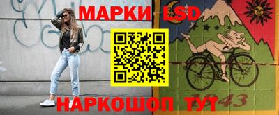 индика Будённовск