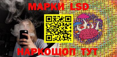 индика Будённовск