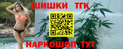 индика Будённовск