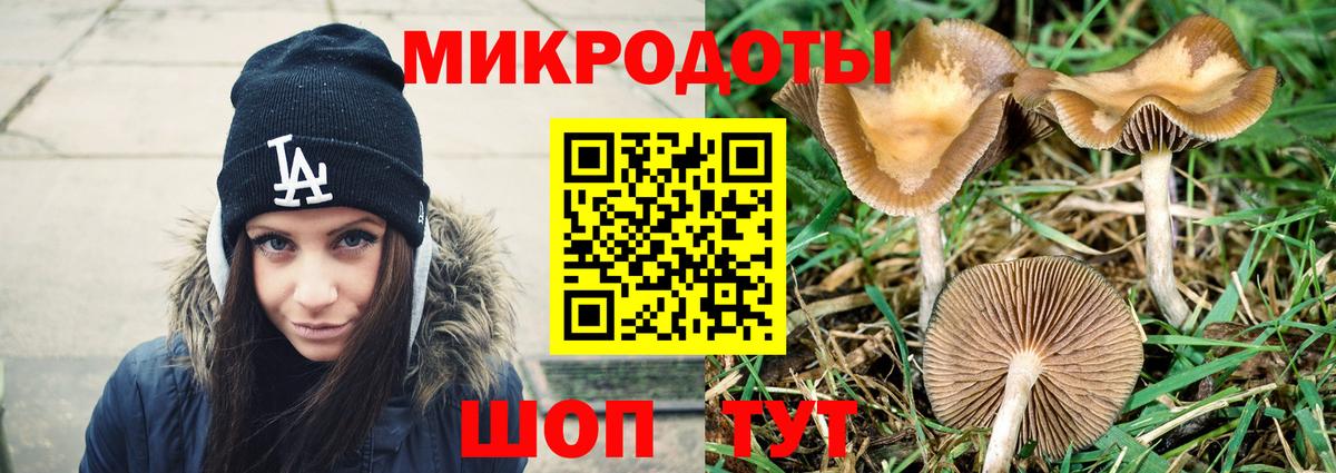 Псилоцибиновые грибы Psilocybine cubensis  Псилоцибиновые грибы Magic Shrooms  купить наркотик  Вход с VPN  Отрадный 